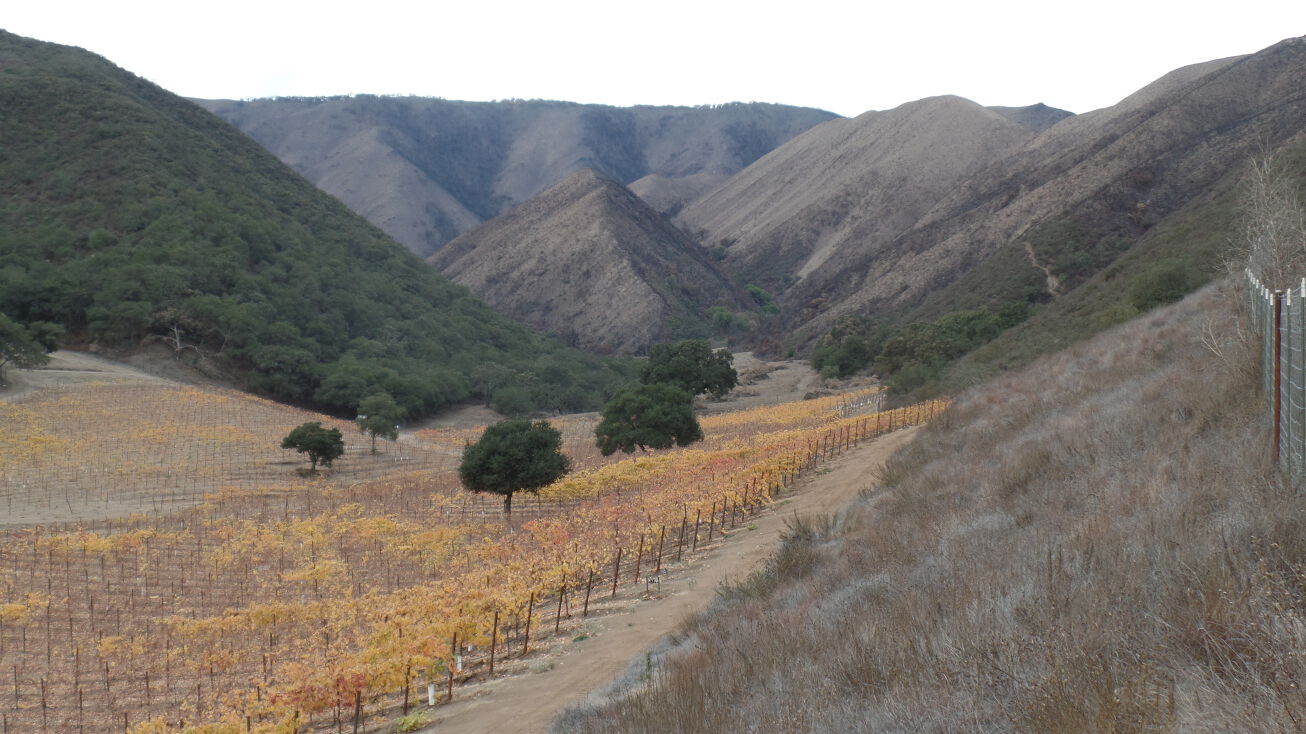 River Rd, Soledad, CA 93960