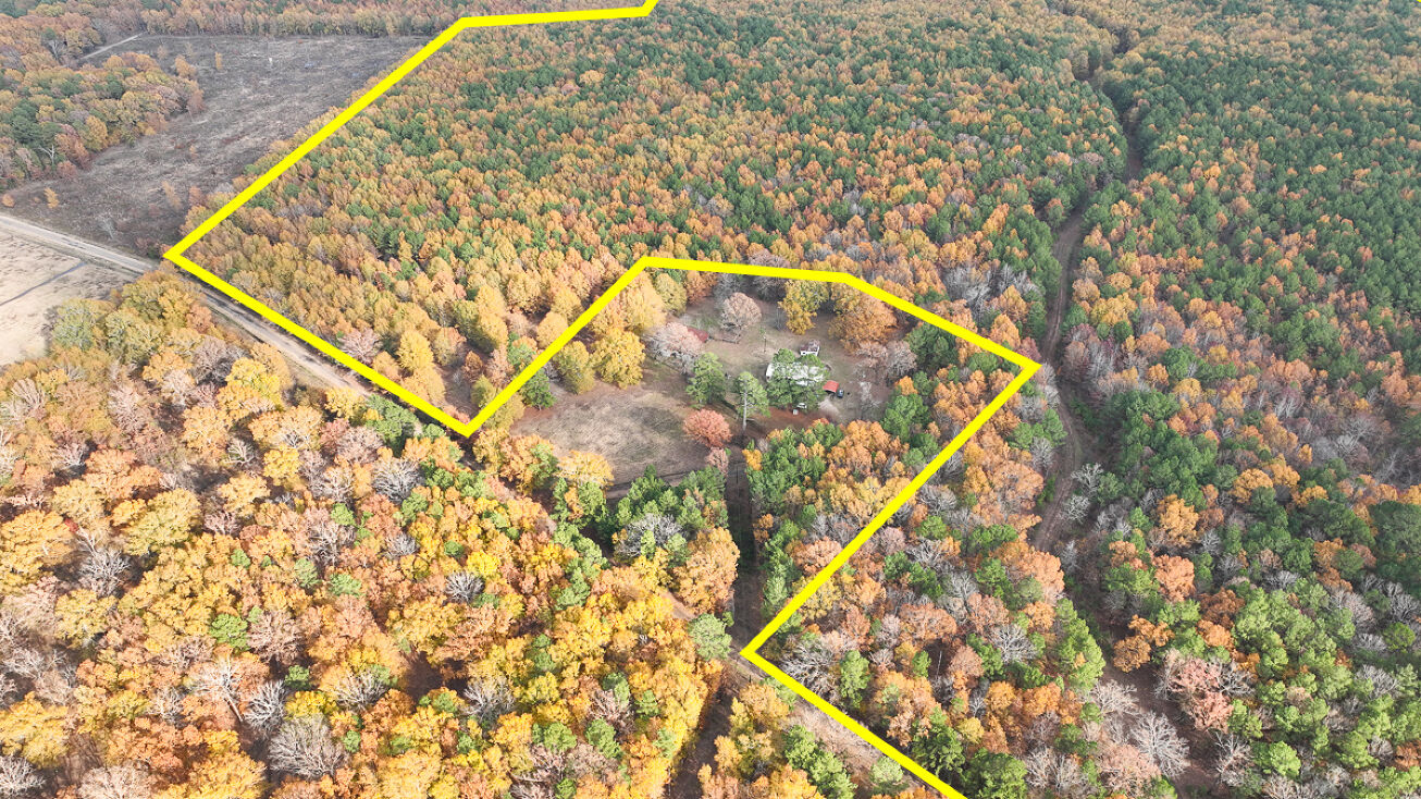 CR 4223, Simms, TX 75574