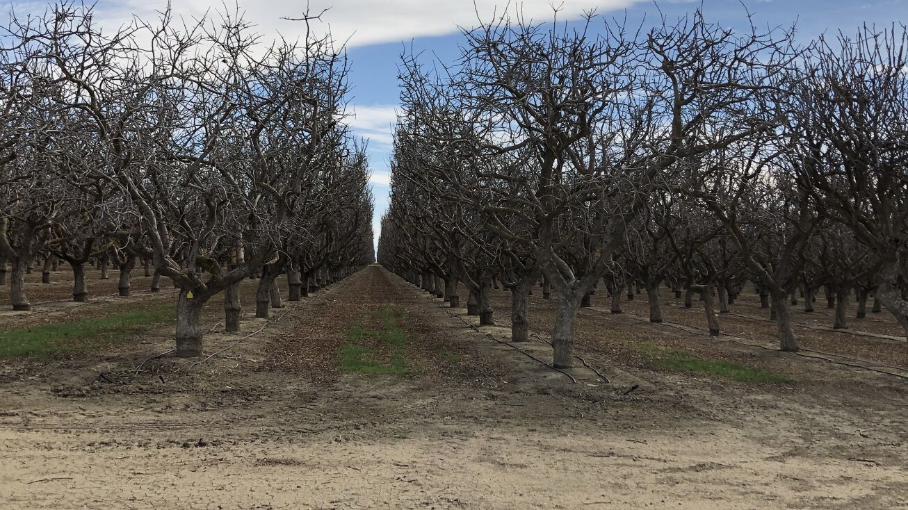 11995 Holloway Rd, Lost Hills, CA 93249 Land for Sale 140 Acre