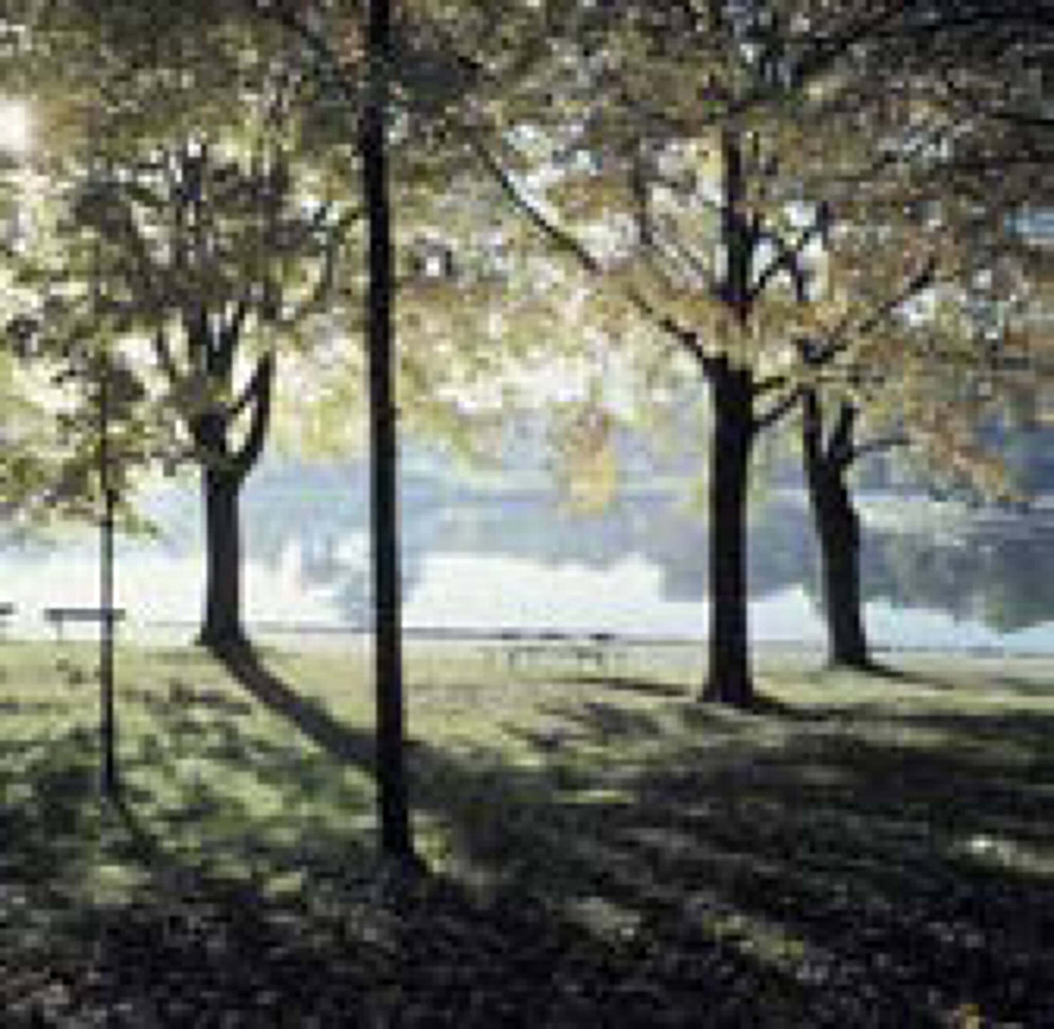 A serene park-like area with mature trees and open grassy spaces at 7701 Washington Avenue, Houston, TX.