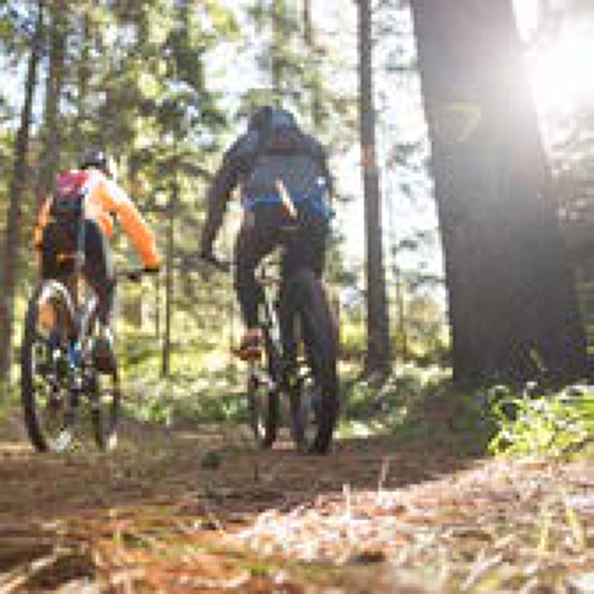 Two cyclists riding through a forested trail at 7701 Washington Avenue, Houston, TX.