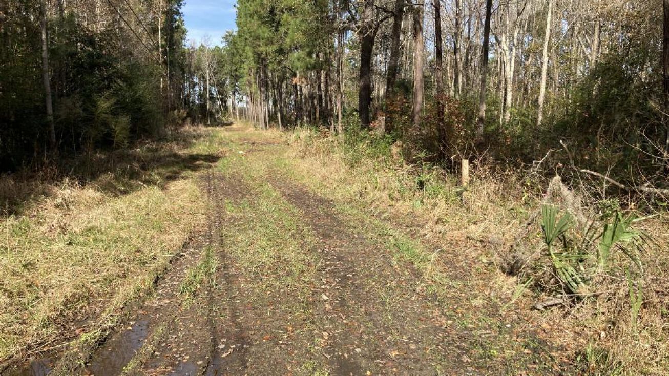 9074 Old Number Six Hwy, Santee, SC 29142