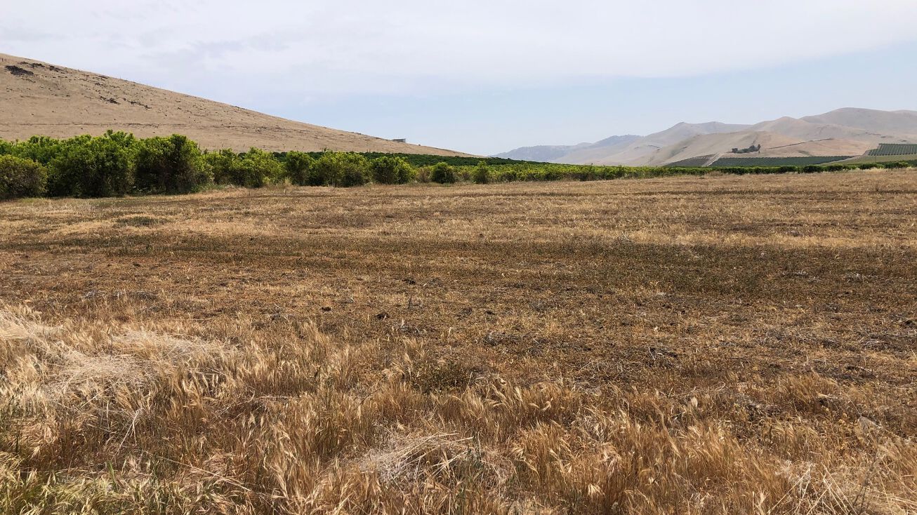 20220 Rd 256, Strathmore, CA 93267