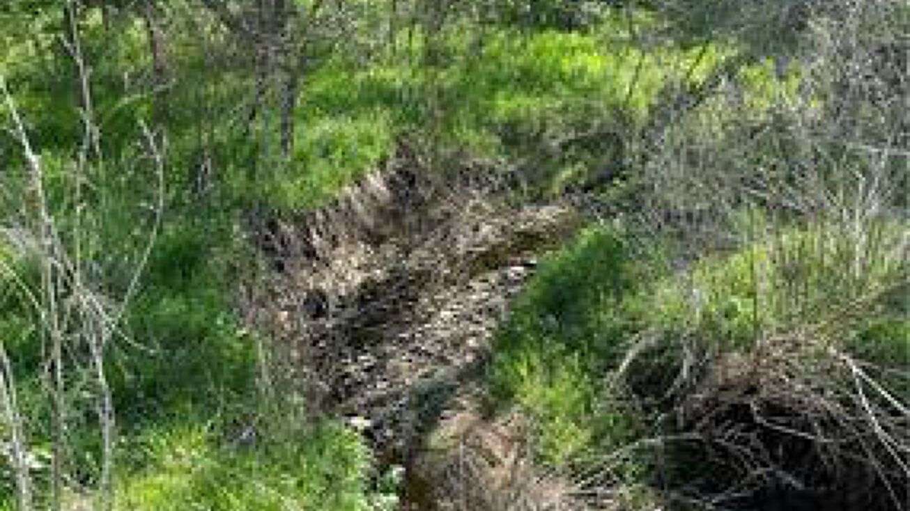 Lot 2 Dempsey Road, McLouth, KS 66054