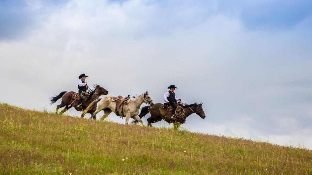 9623 Fort Laramie Rd, Fort Laramie, WY 82212 Land for Sale 9623 Dove Dr