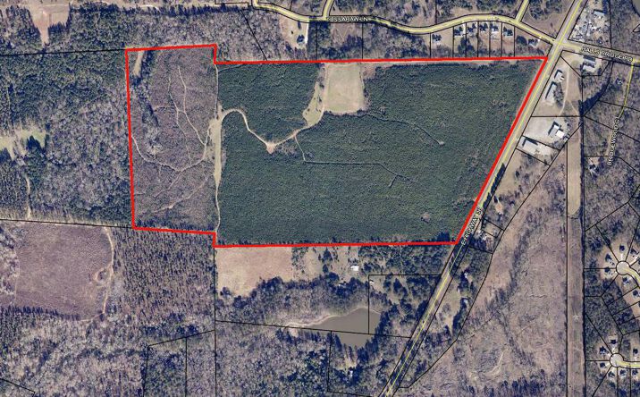 Pictures of Land property located at E. Hwy 36, Jackson, GA 30233 for sales - image #1