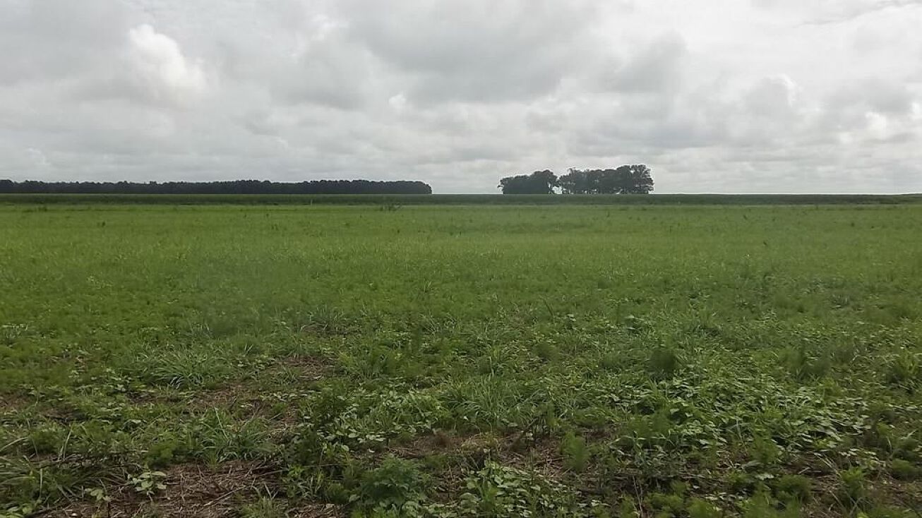 TBD Sandy Road, Elizabeth City, NC 27909