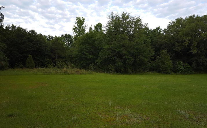 Pictures of Land property located at N/A Main Street, Chipley, FL 32428 for sales - image #1