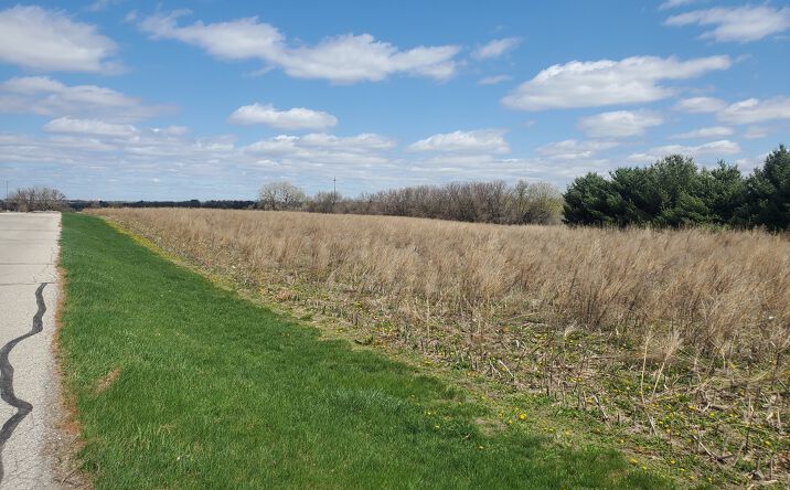 Pictures of Land property located at NE 60th St, Pleasant Hill, IA 50327 for sales - image #1