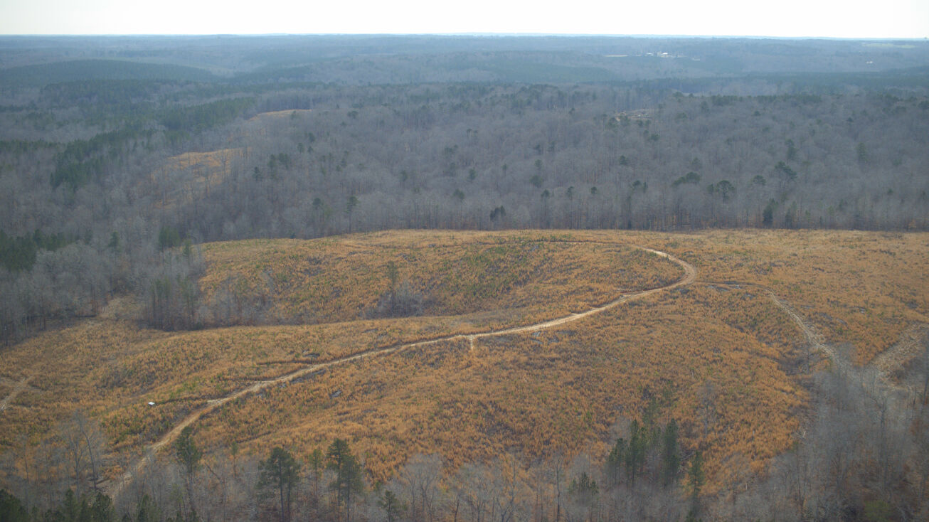 2228 Buckhorn Rd, Sanford, NC 27330