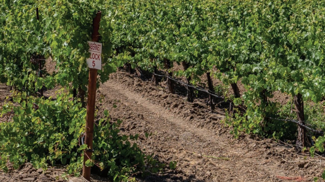 3435 Truesdale Rd, Shandon, CA 93461