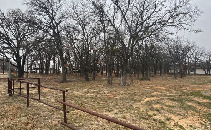 Pictures of Land property located at 9067 Teasley Lane, Corinth, TX 76210 for sales - image #1
