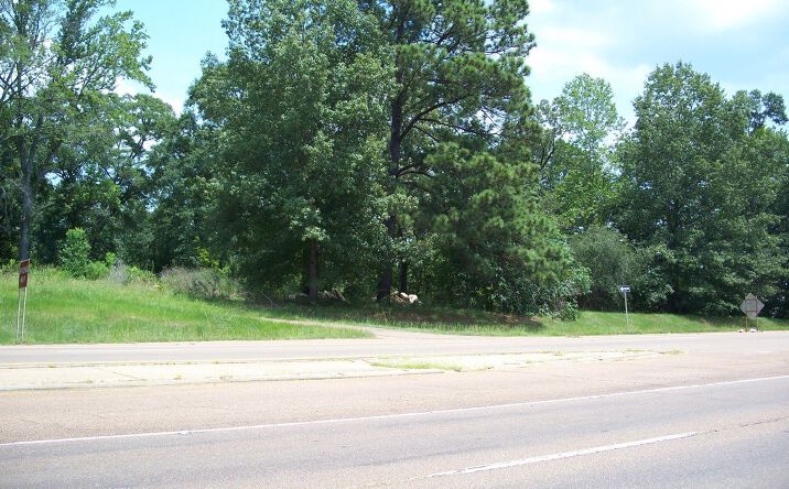 Pictures of Land property located at 5745 US-80, Pearl, MS 39208 for sales - image #1