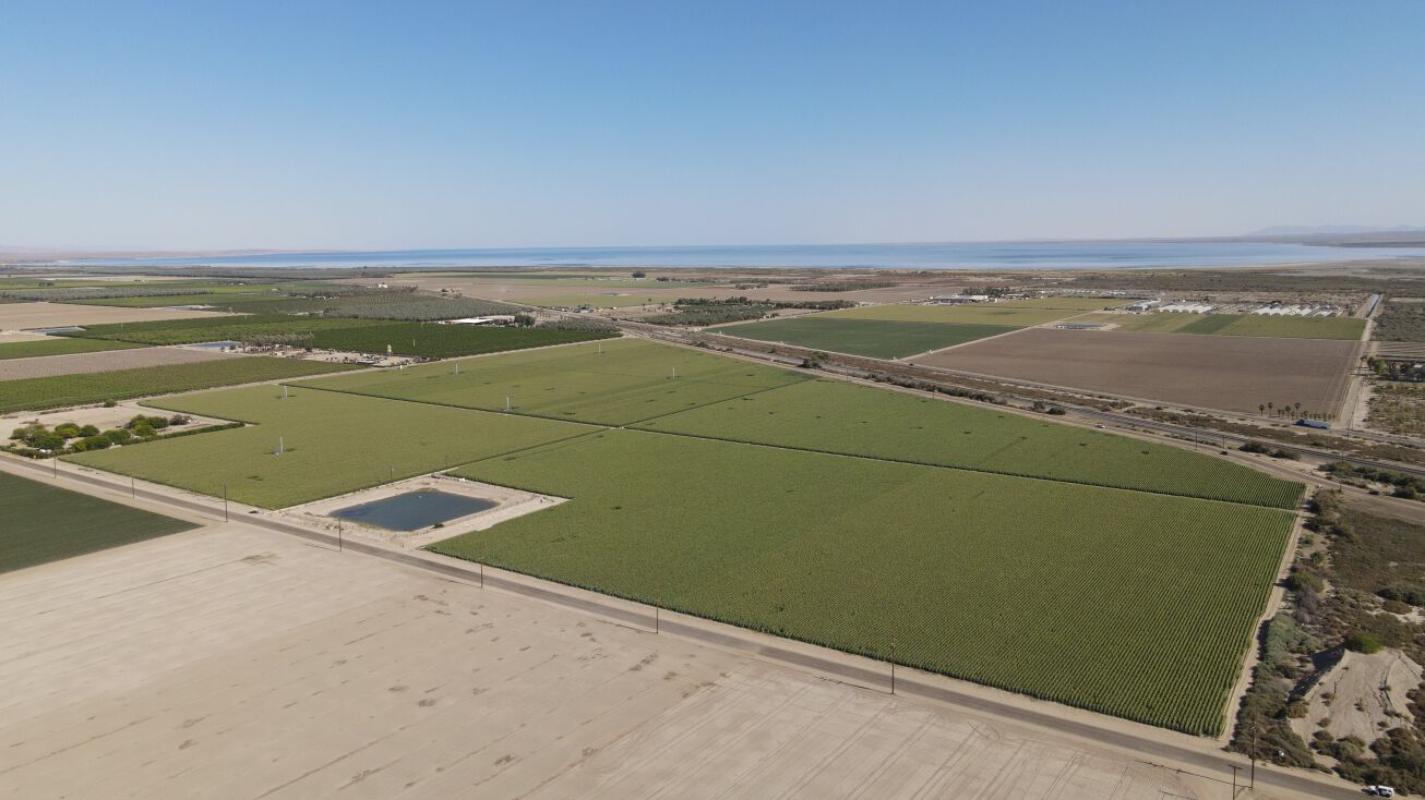 Hammond Rd. & Grant St., Mecca, CA 92254 Land for Sale Hammond Ranch