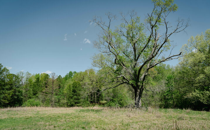 Pictures of Land property located at 1162 Robinson Springs Road, Madison, MS 39110 for sales - image #1