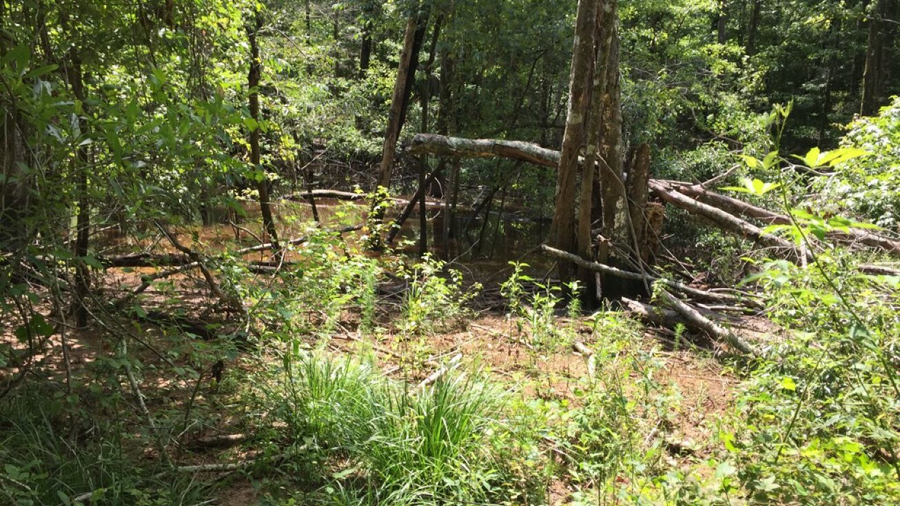 4397 Braggs Rd, Greenville, AL 36037