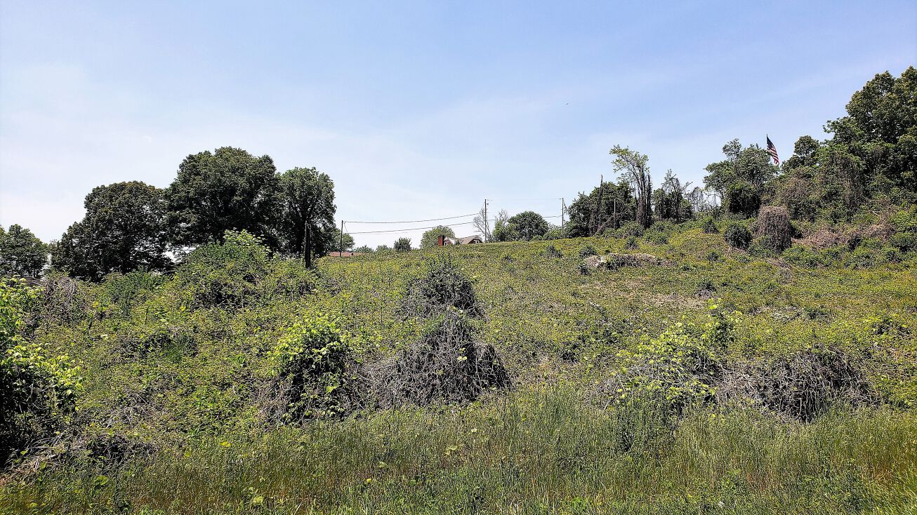 Teasel Dr, Kingsport, TN 37660