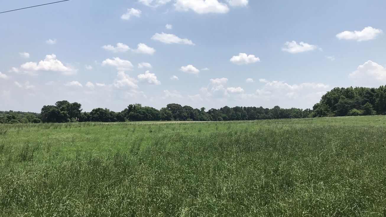 Storey Ln, Jefferson, GA 30549