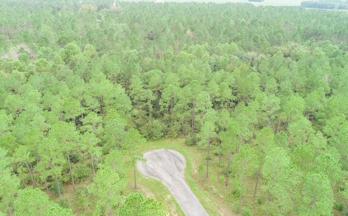 Pictures of Land property located at LOT 29 Merganser Lane, Moultrie, GA 31768 for sales - image #1