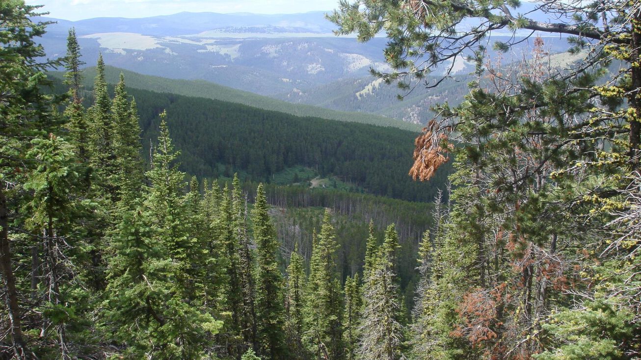 Spotted Horse Mine Lot 3020, Neihart, MT 59465