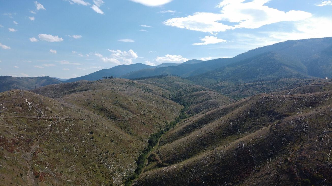 Nhn Blind Draw, Conner, MT 59827