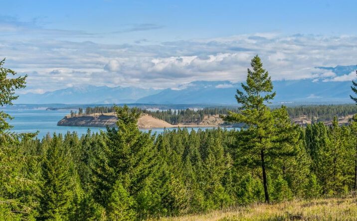 Pictures of Land property located at 41 Kamloop Court, Rexford, MT 59930 for sales - image #1