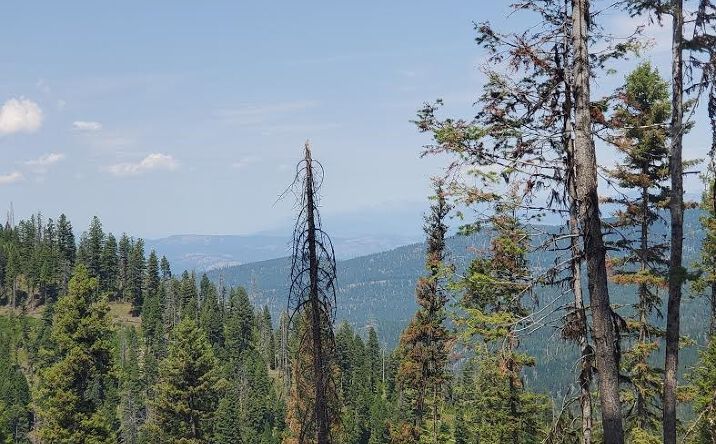 Pictures of Land property located at NHN Toledo/Diamond, Drummond, MT 59832 for sales - image #1