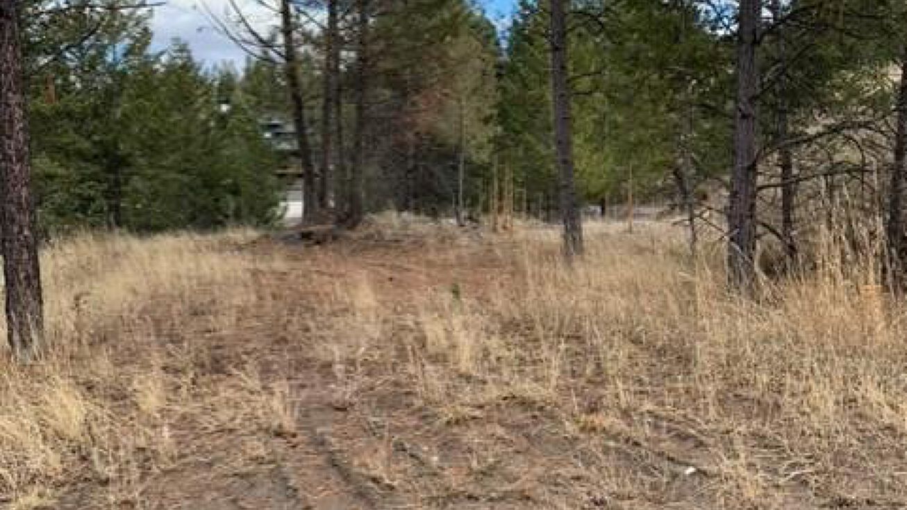 100 Abayance Loop, Rexford, MT 59930 Land for Sale 100 Abayance Loop