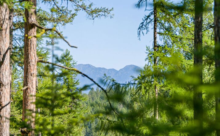 Pictures of Land property located at 385 Saddlehorn Trail, Bigfork, MT 59911 for sales - image #1