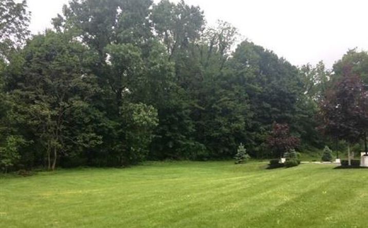 Pictures of Land property located at Tbd Rt. 9w, Highland, NY 12528 for sales - image #1