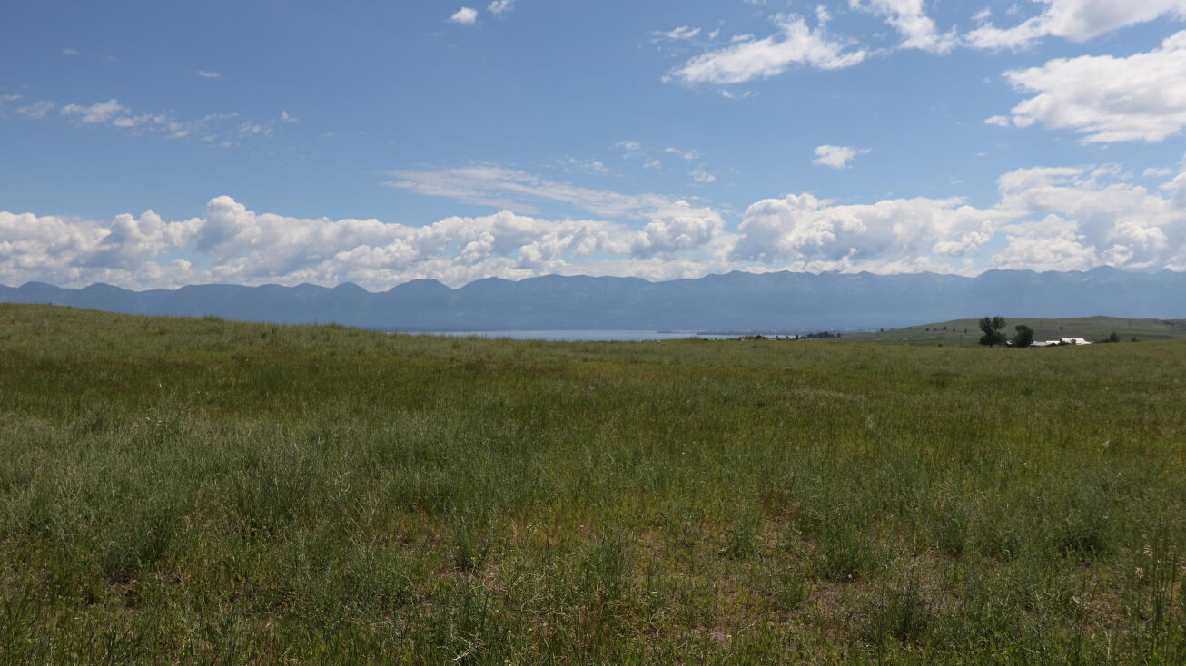 Nhn Tower Road, Polson, MT 59860 Land for Sale Nhn Tower Road