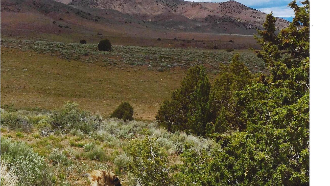 00 Palomino Valley, Reno, NV 89510