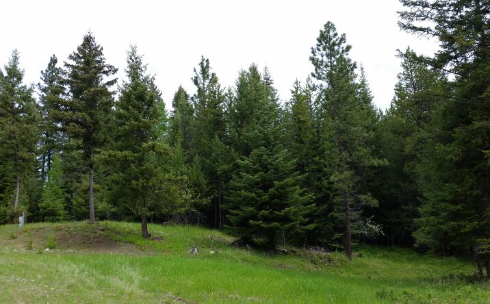 Pictures of Land property located at 84 Treasure Mountain Lane, Libby, MT 59923 for sales - image #1