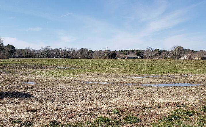 image of property at 7409 RAILROAD ST Nassawadox VA 23413-1079