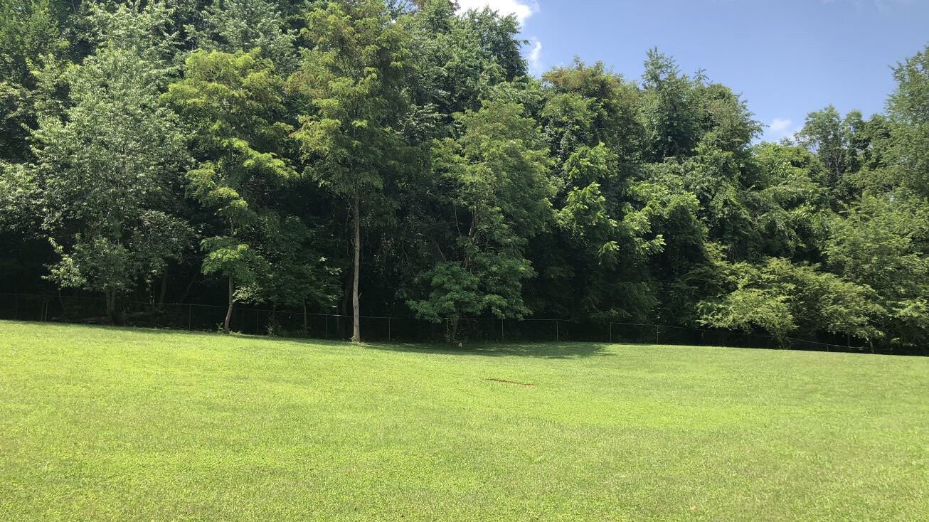 2704 S Greenwood Dr, Johnson City, TN 37604