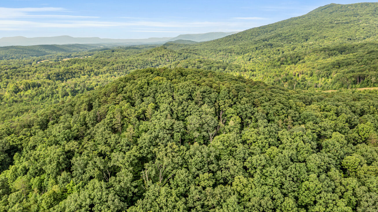 0 Williams Rd, Chickamauga, GA 30707