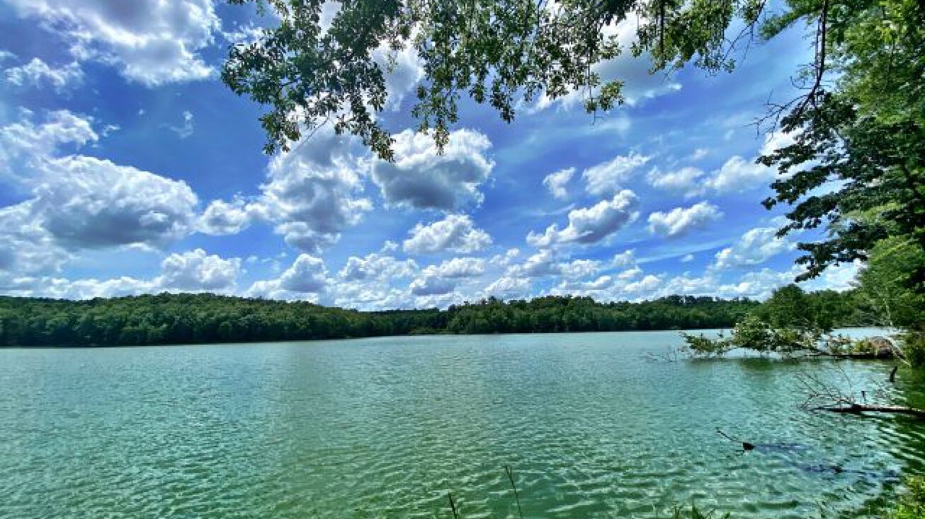 Stuckey’s Lake, Jeffersonville, GA 31044