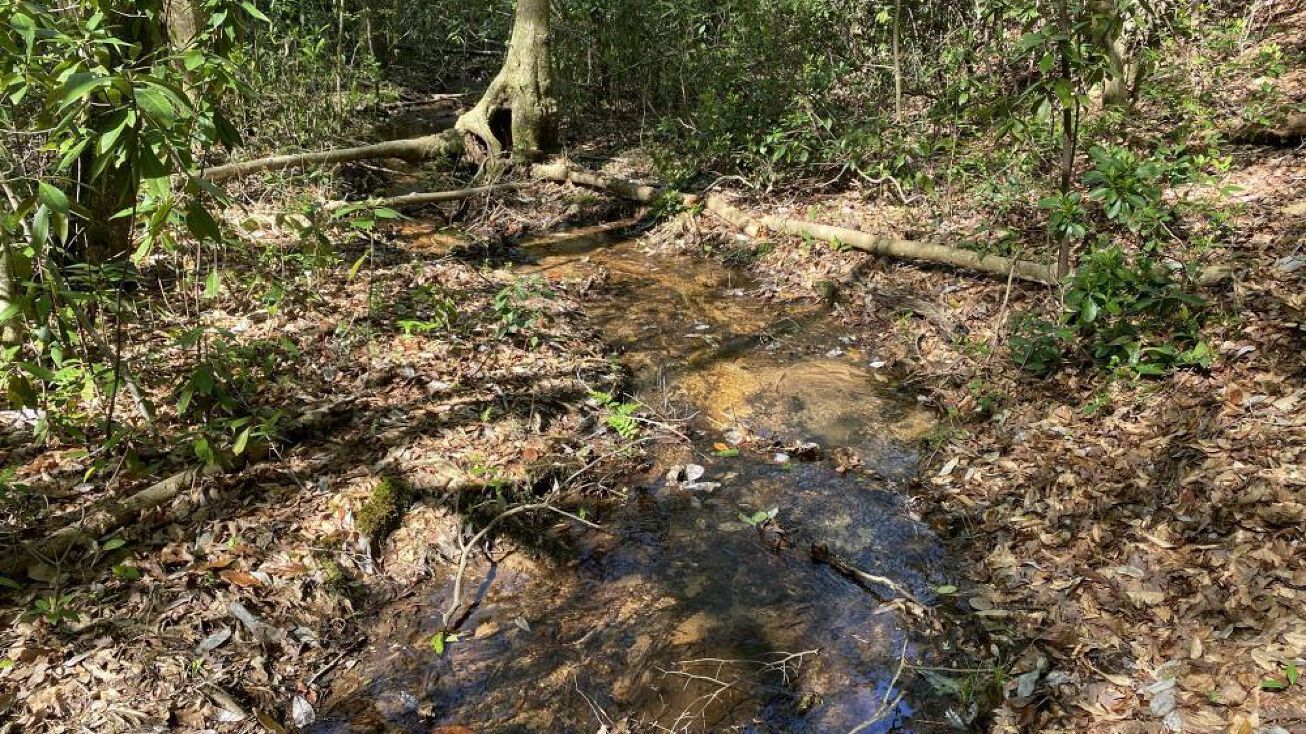 00 Bates Ave., Purvis, MS 39475 Land for Sale Mixon Creek Multiuse