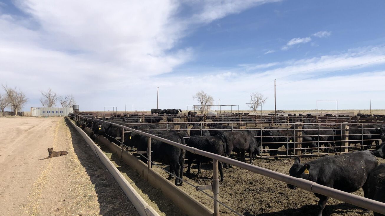 Fowler Feed Yard, Grass and Home, Olney Springs, CO 81062 Land for