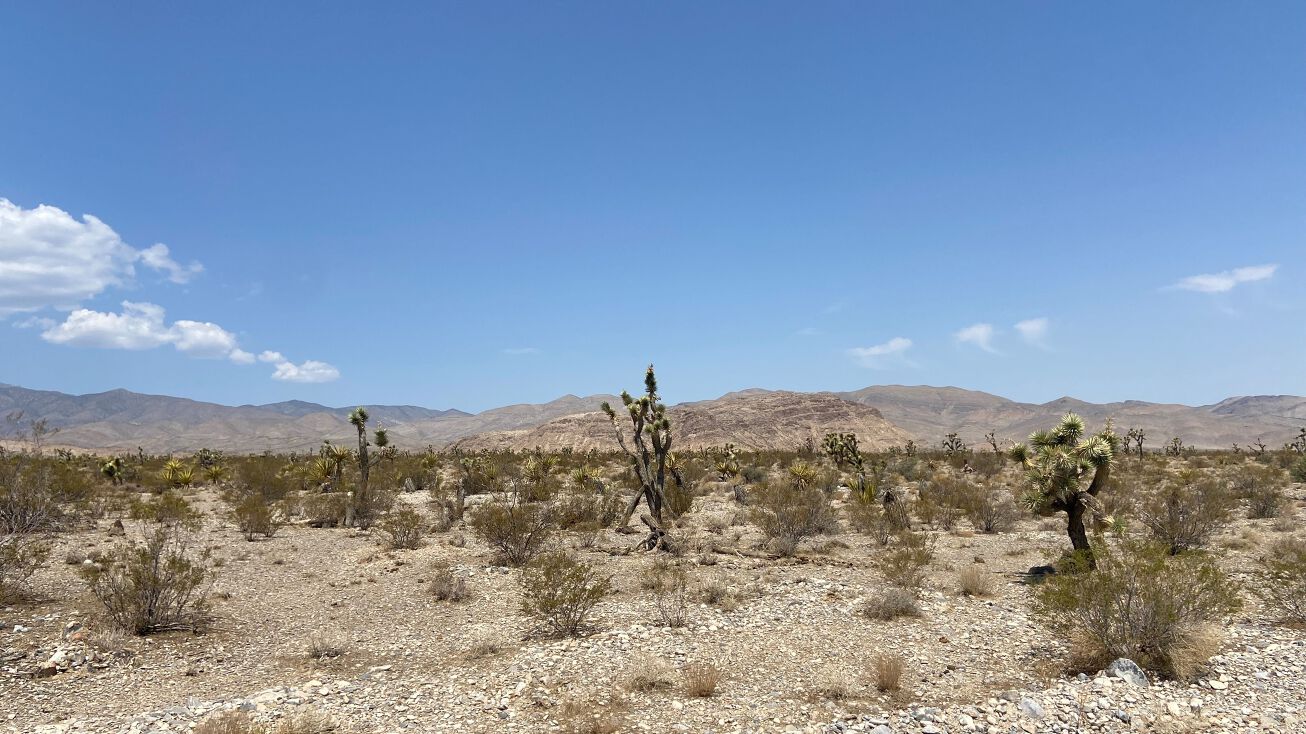 Scottie St, Las Vegas, NV 89166