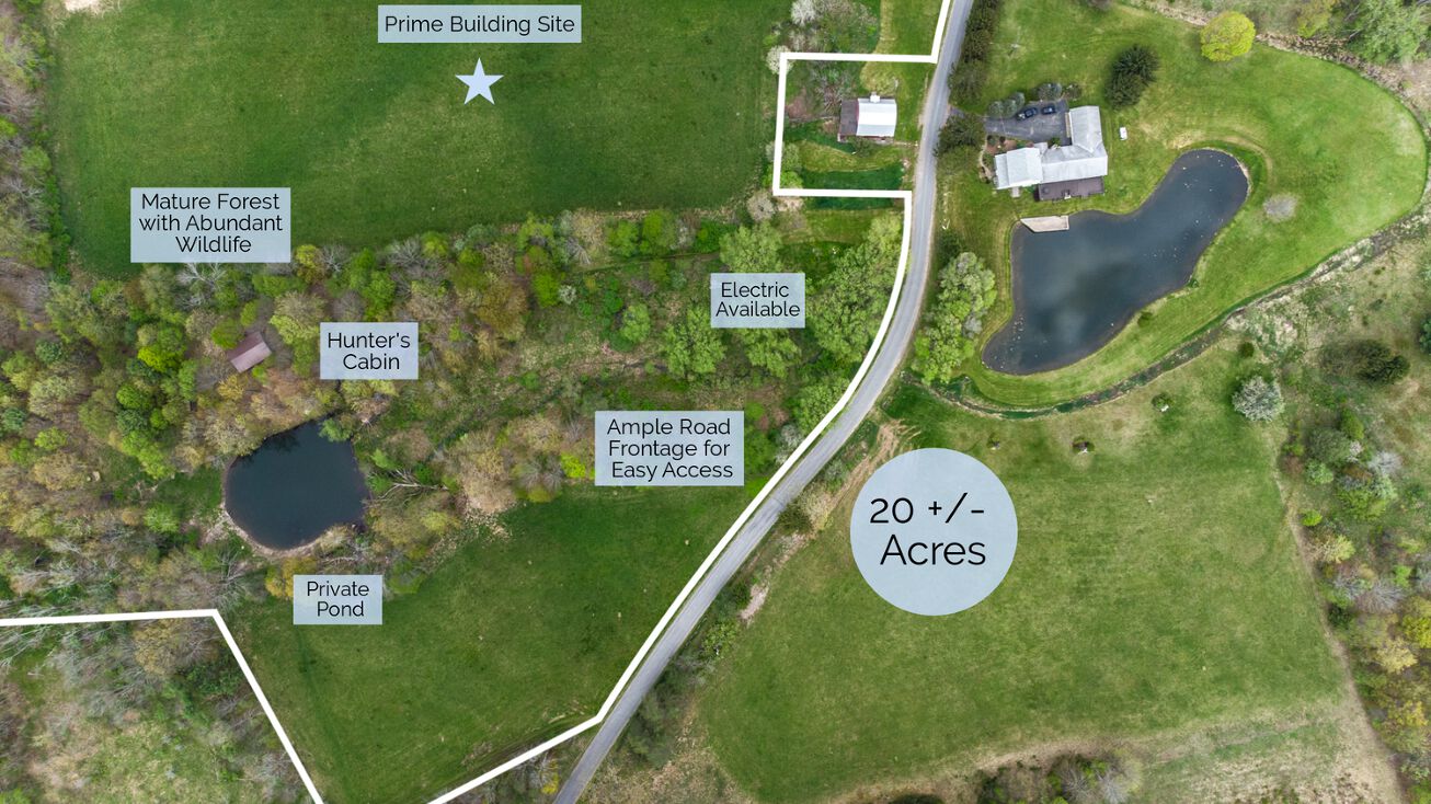 0 Budine Road, Sidney Center, NY 13839