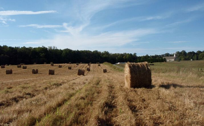 Pictures of Land property located at 4290 Red Cedar Rd, Gibsonville, NC 27249, Huffine Mill Rd, Gibsonville, NC 27249 for sales - image #1
