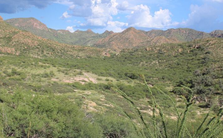 Pictures of Land property located at TBD Winery Springs Road 20, Tubac, AZ 85646 for sales - image #1
