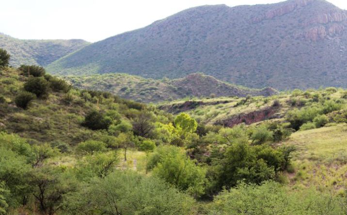 TBD Alamo Canyon Drive, Tubac, AZ 85646 | Crexi.com