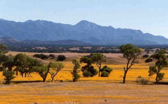 Pictures of Land property located at TBD Forest Road 4745, Patagonia, AZ 85624 for sales - image #1
