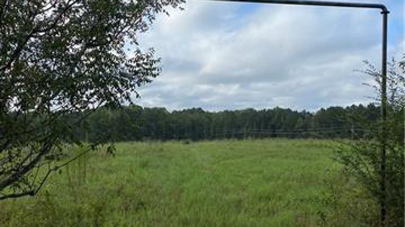 Blacksmith Rd, Ringgold, LA 71068
