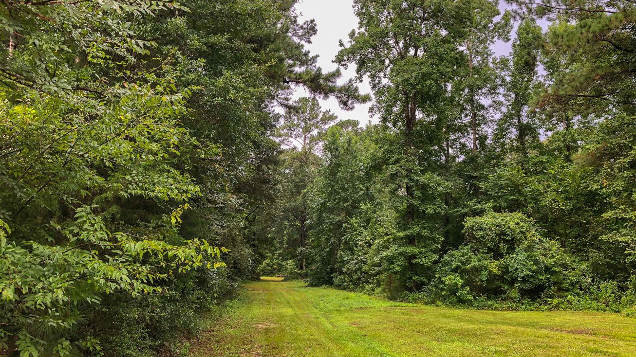 46 Acres Perry Rd, Oakhurst, TX 77359