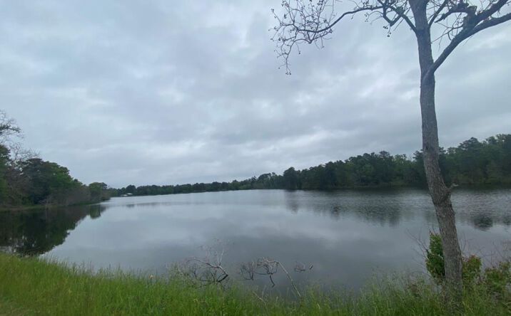 Pictures of Land property located at 00 Wildwood Dr, Shreveport, LA 71119 for sales - image #1