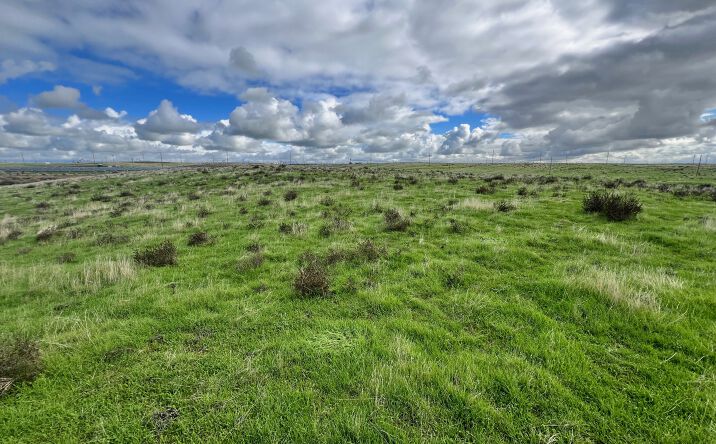 Pictures of Land property located at 34997 Lerdo Hwy, Bakersfield, CA 93308 for sales - image #1