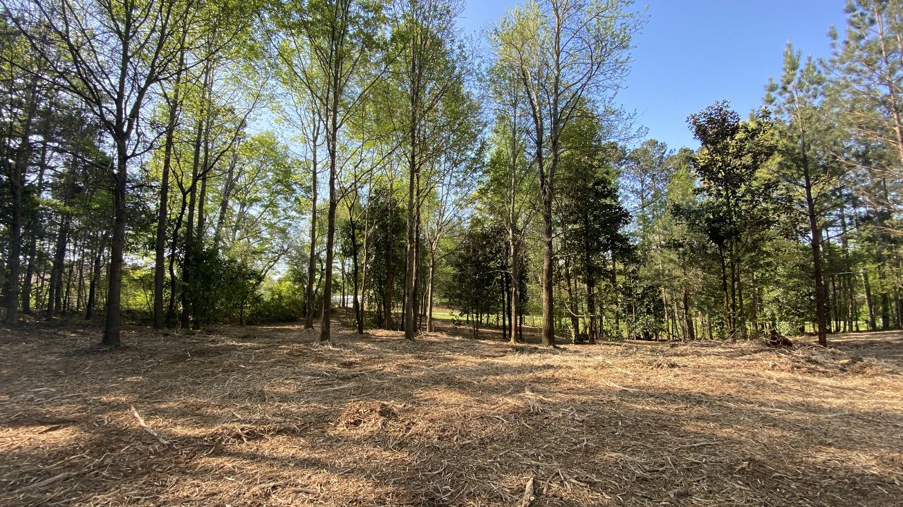 397A Owens Store Rd, Canton, GA 30115